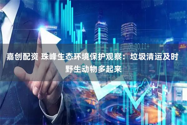 嘉创配资 珠峰生态环境保护观察：垃圾清运及时 野生动物多起来